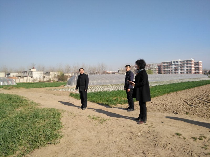 扩增土地现场.jpg 扩增土地现场.jpg