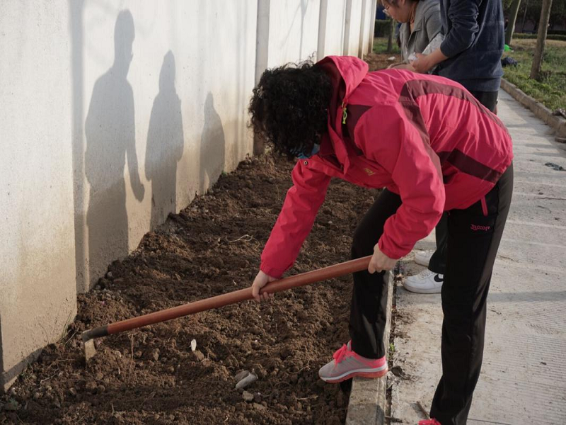 图片 3.png 图片 3.png