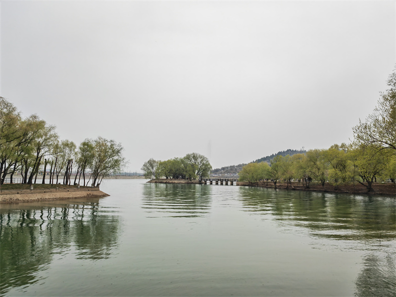 #10号-杨洁《湖光山色》.jpg #10号-杨洁《湖光山色》.jpg