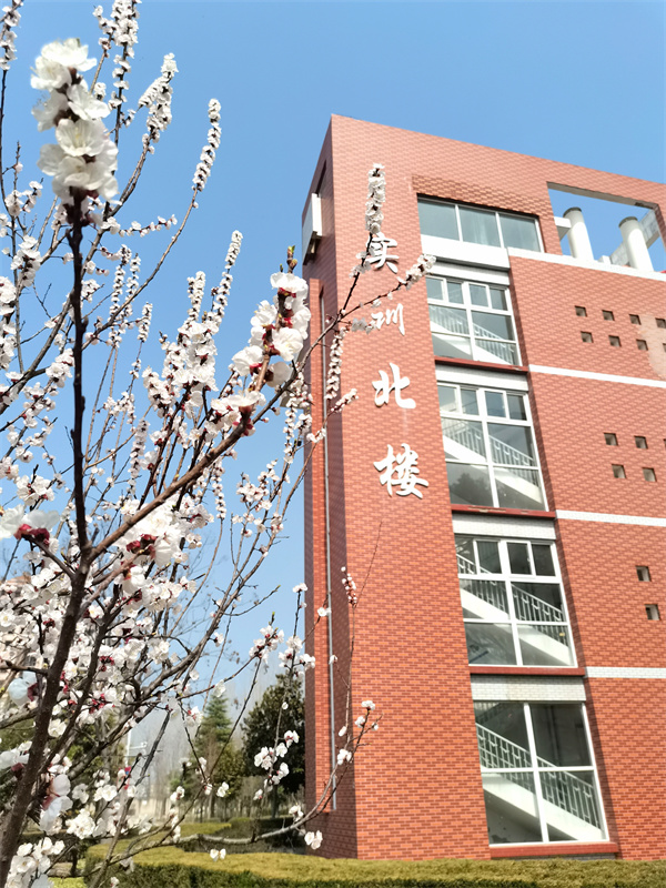 #7号-贺东-《卫院芳华》.jpg #7号-贺东-《卫院芳华》.jpg