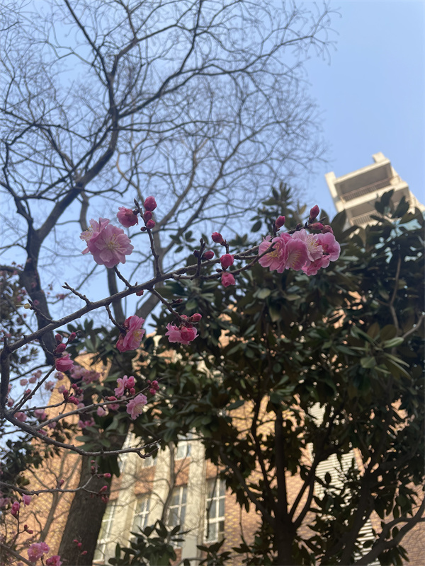 #8号-黄梦丽-《春有约,花不负》.JPG #8号-黄梦丽-《春有约,花不负》.JPG